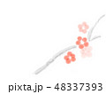 梅の小枝 48337393