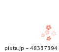 梅の花 48337394