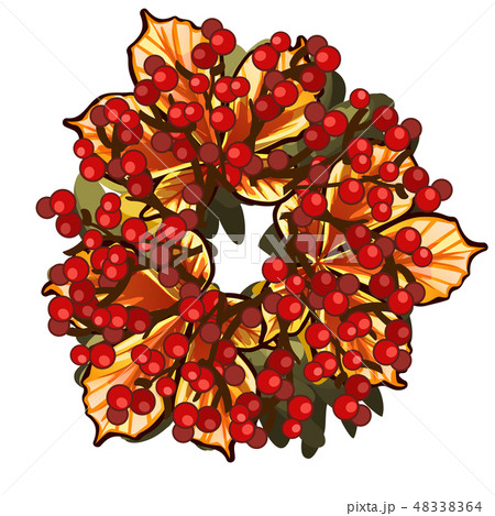 A decorative wreath of dried leaves of chestnut and red berries of holly isolated on white 48338364