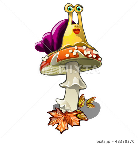 Funny snail on a fly agaric isolated on white background. Vector cartoon close-up illustration. 48338370