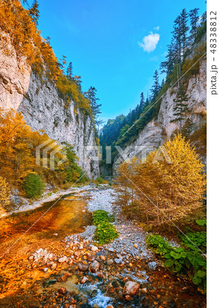 The Devin River Valley 48338812