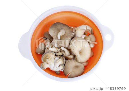 Fresh oyster mushrooms in black container  48339769