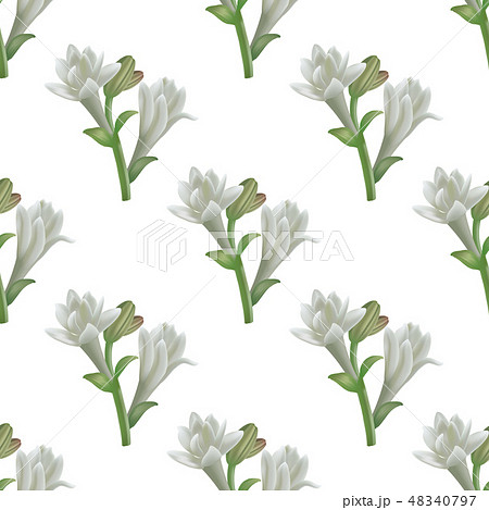 Tuberose Flowers Pattern in Realistic Style 48340797