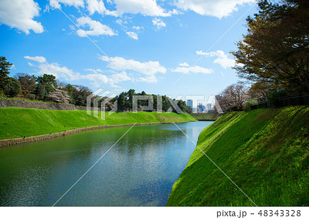 若葉と新緑の皇居：半蔵濠と満開の桜 48343328