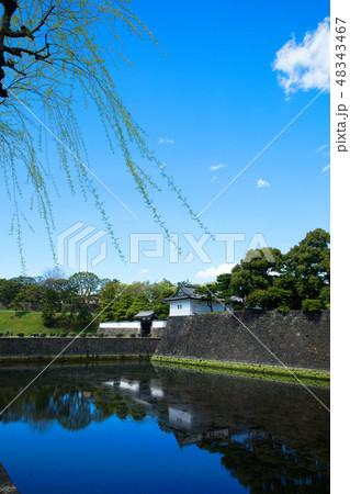若葉と新緑の桜田門　枝垂れ柳 48343467