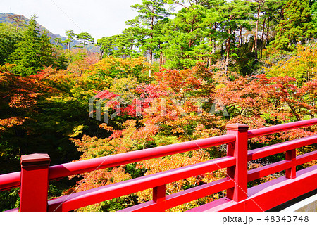 紅葉谷、弥彦公園、新潟県、日本 48343748