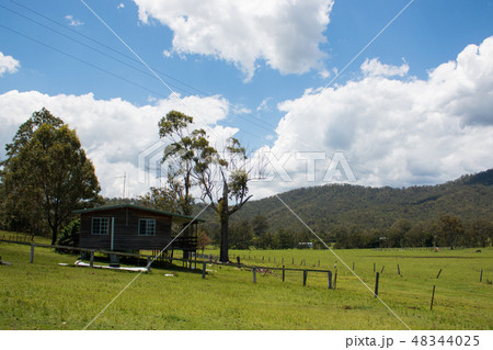 放牧農家の家　丘の上　一軒家　眺めがいい 48344025