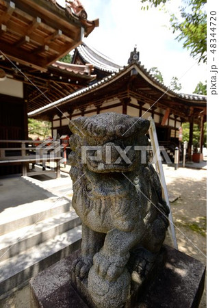 お寺イメージ 48344720