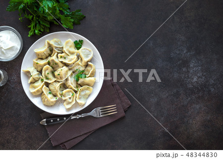 Homemade Dumplings 48344830
