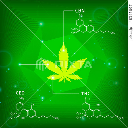 Marijuana Plant And Cannabis On Green Backgrounds のイラスト素材