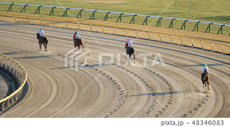 ダートコースを走る競走馬 48346083