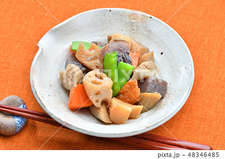 和食の煮もの、筑前煮、根菜野菜煮。竹輪、ゴボウ、蓮根、ニンジン、椎茸、こんにゃくの煮もの。 48346485