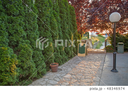 Garden Path Garden Path 48346974
