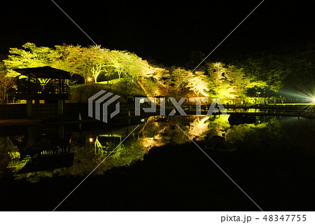 臼杵市野津町　吉四六ランド夜桜ライトアップ 48347755