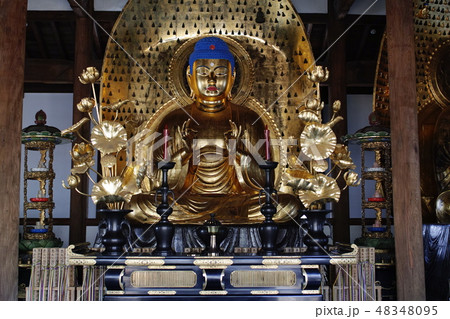 九品仏　浄真寺 48348095