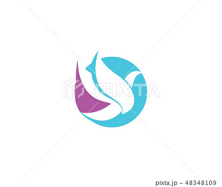 Bird and wing logo vector template 48348109