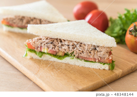 tuna sandwich on wood 48348144