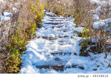 stair way with snow 48348618