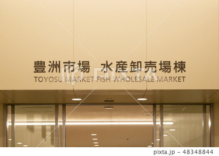 豊洲市場 水産卸売場棟 豊洲市場 水産卸売場棟 48348844
