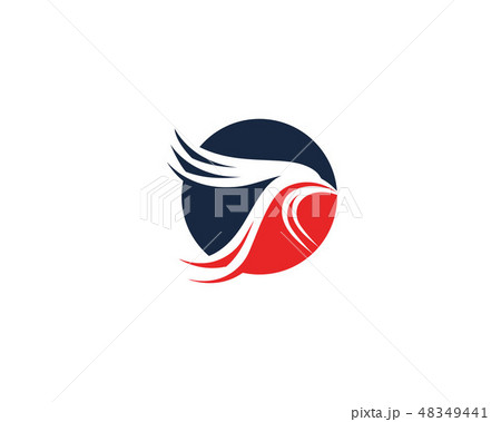Bird and wing logo vector template Bird and wing logo vector template 48349441