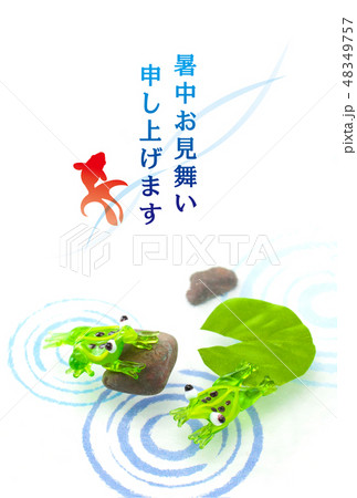 サマーカード 48349757