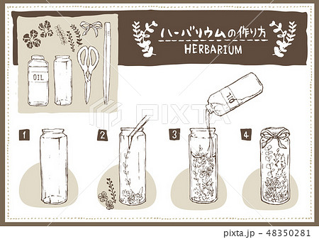 ハーバリウムの作り方 説明書 イラスト素材 ベクターのイラスト素材
