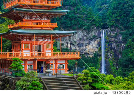 那智山 青岸渡寺 三重塔と那智の滝 48350299
