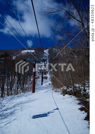 ゲレンデ　リフト　登り　スキー場 48350623