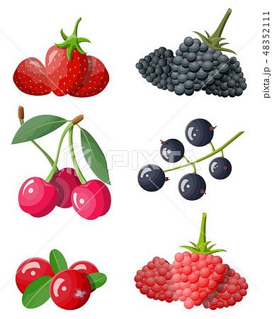 Berry icon set. 48352111