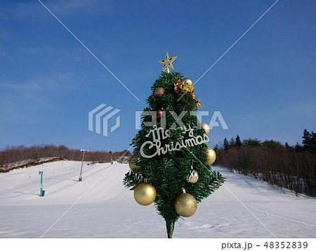 クリスマスツリー 48352839