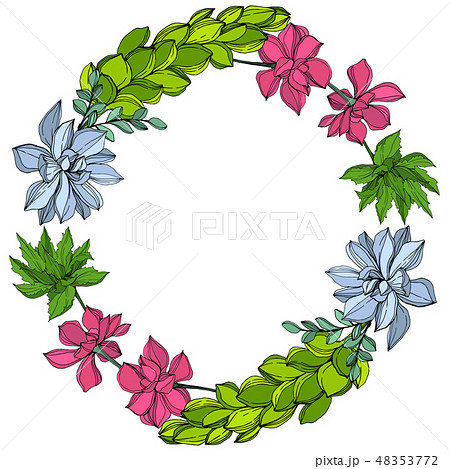 Vector Jungle botanical succulent flower. Engraved ink art illustration. Frame border ornament 48353772