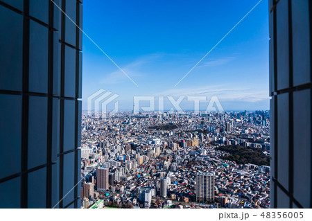 東京 都市風景 東京 都市風景 48356005