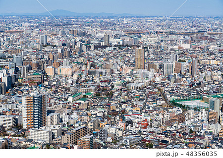 東京　都市風景 48356035