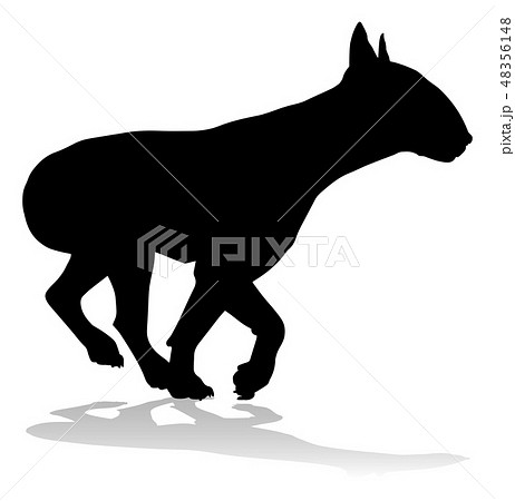 Dog Silhouette Pet Animal 48356148