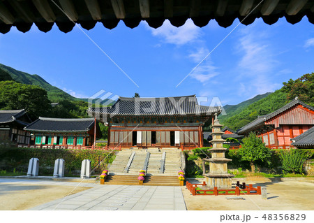 石塔 智異山 求礼 48356829