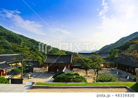 智異山 求礼 ソウル 48356830
