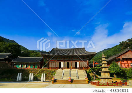 智異山 求礼 ソウル 48356831