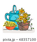 Summer still life with flowers and watering can 48357100
