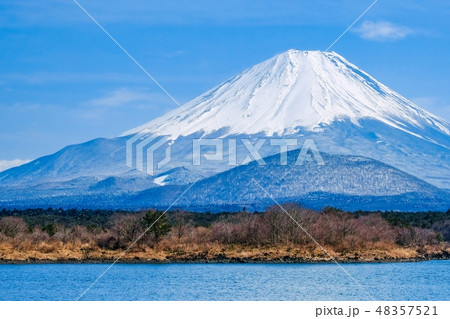 精進湖から望む富士山 48357521