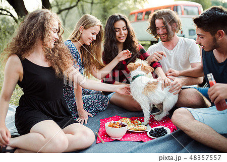 A group of young friends with a dog having picnic on a roadtrip through countryside. 48357557