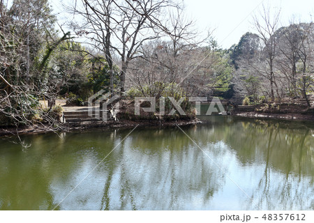 震生湖 震生湖 48357612