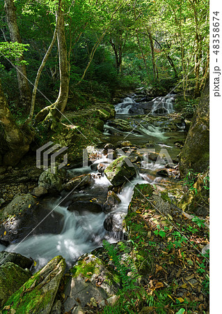 初秋の宇津江四十八滝　朝霧滝（あさぎりたき） 48358674