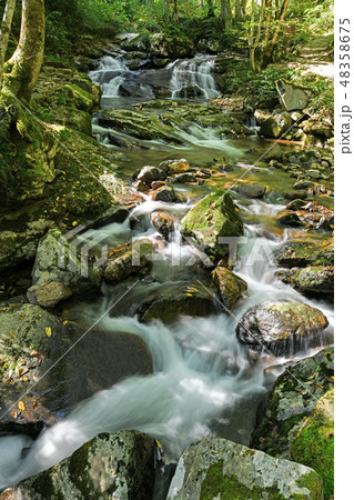 初秋の宇津江四十八滝　朝霧滝（あさぎりたき） 48358675