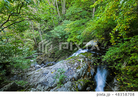 初秋の宇津江四十八滝 王滝の滝口 初秋の宇津江四十八滝 王滝の滝口 48358708