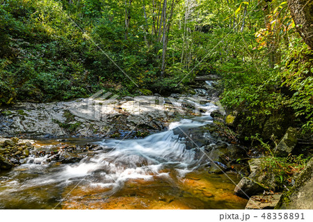 初秋の宇津江四十八滝　 48358891