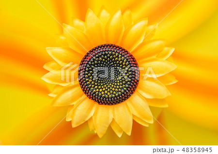 Large yellow artificial sunflower fan Large yellow artificial sunflower fan 48358945