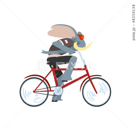 Rabbit Riding Biker, Animal Character Using Vehicle Vector Illustration 48359138