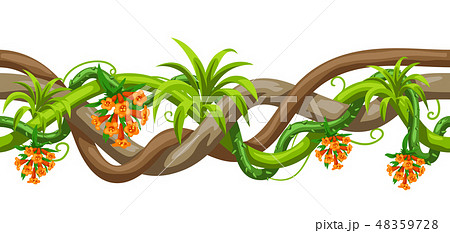 Twisted wild liana branch seamless pattern. Jungle vines plant. 48359728