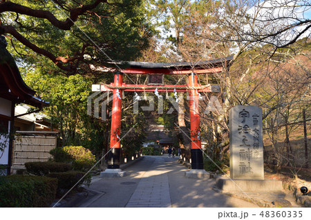 世界遺産・宇治上神社の鳥居 世界遺産・宇治上神社の鳥居 48360335