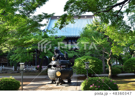 豪徳寺・香炉と仏殿 48360347